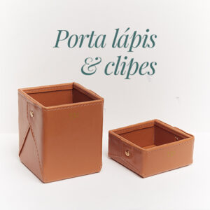 img-portalapiseclipes